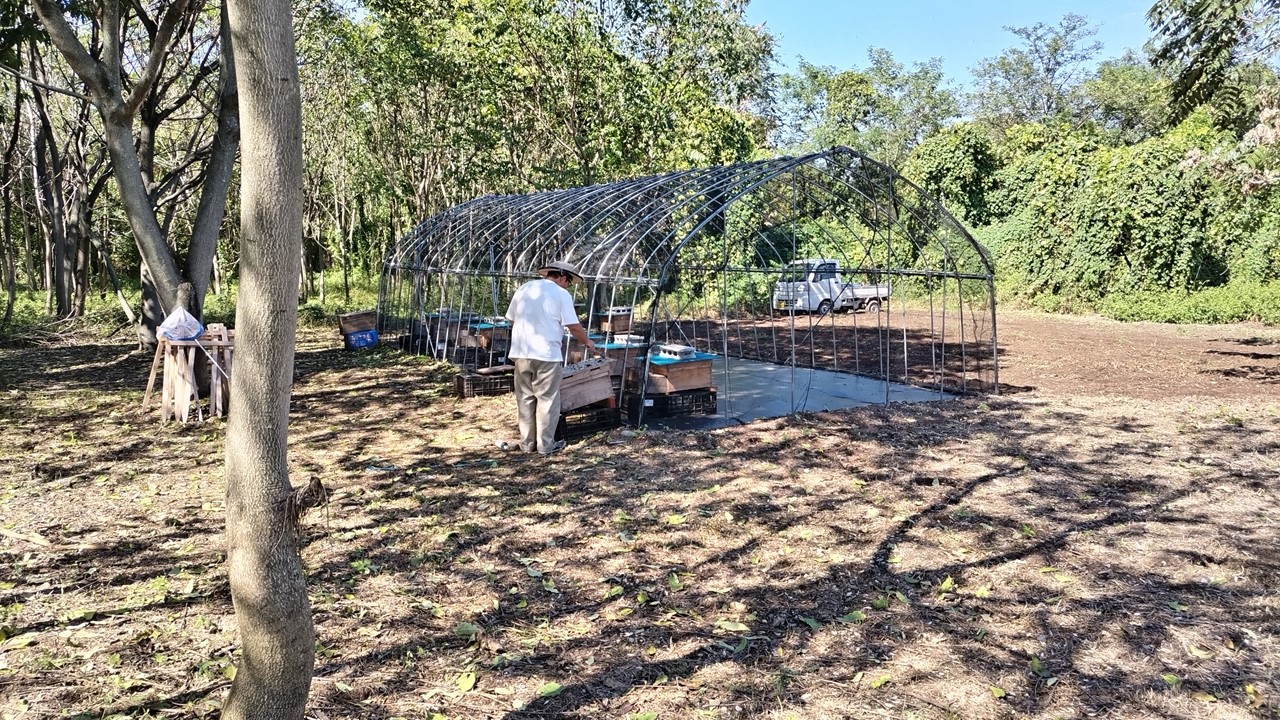 スズメバチ対策など日々のケアを行う八百萬養蜂所